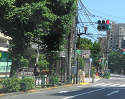 お寺が地主の文京区向丘地域